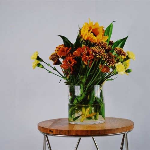 Dish Garden - Image 4