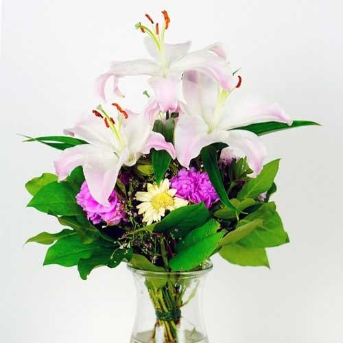 Designers Choice - Image 2
